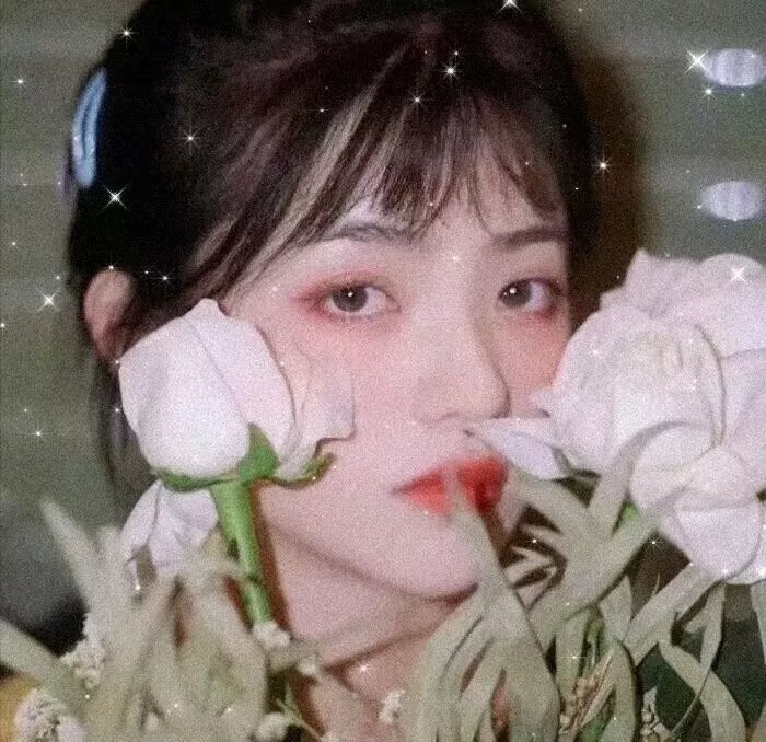托芙的房间